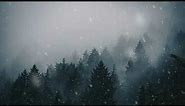 Snowfall in Forest Live Wallpaper 4K