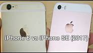 iPhone 6 vs iPhone SE