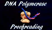 DNA polymerase proofreading