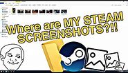 How to Find Steam Screenshot Folder Fast [Step by Step Guide]