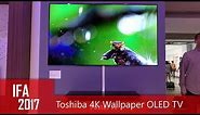 Toshiba Wallpaper Poster TV 4K OLED Prototyp (IFA 2017)