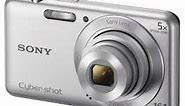 Sony Cyber-shot DSC-W710 16.1 Megapixel Digital Camera with 5x Optical Zoom and 2.7-Inch LCD Screen