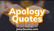 Top 15 Apology Quotes and Sayings 2020 - (Can I Apologize or Forgive)