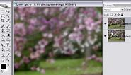 Soft focus effect in Photoshop