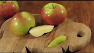 Northern Spy Apples: Harvest, Taste Test and Why You Should Grow Them!