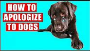 How to Apologize to Your Dog