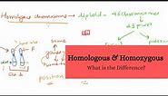 Homologous and Homozygous – What is the Difference?