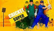 Super Cricket Game - Play Online Cricket Game Free
