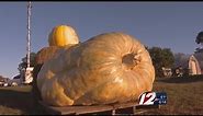 World Record Pumpkin Grown In RI