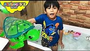 Bathtub Swimming with BABY TURTLES !! Little Live Pets and Animals Sea Turtle toys kids children