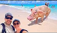 The Absolute BEST Swimming with Pigs Tour | Rose Island | Nassau, Bahamas