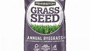 Pennington 50-lb Annual Ryegrass Grass Seed Lowes.com