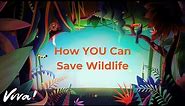 How YOU Can Save Wildlife