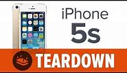 iPhone 5S Teardown Review