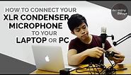 How to connect your XLR Condenser Microphone to your Laptop or PC (for Beginners)