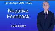 GCSE Biology Revision "Negative Feedback"