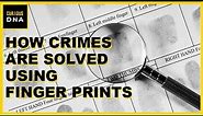 How Crimes are solved using Finger Prints | Finger Print Analysis | Forensic Science