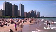 32 Chicago Beaches in 1 Day
