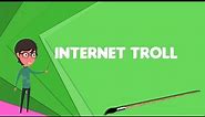 What is Internet troll? Explain Internet troll, Define Internet troll, Meaning of Internet troll