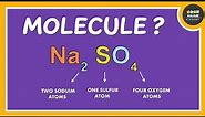 What is a molecule ? Chemistry