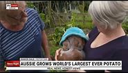 Australian grows world's largest-ever potato