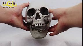 MOKRY PARTY Life Size Skeleton Skull for Halloween Decor Graveyard Outdoor White