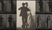 Eadweard Muybridge: Studies in Motion