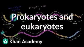 Differences in translation between prokaryotes and eukaryotes | MCAT | Khan Academy