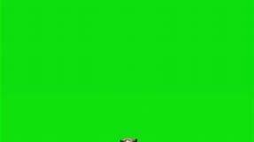 15 dog memes For Green Screen Chroma Key #greenscreen #greenscreenvideo #greenscreentemplate #fyv #memecut #dogsoftiktok #dog #dogs 🐾 Unleash a world of creativity with our latest video featuring 15 adorable green screen templates of dogs! 🎥✨ Whether you're a content creator, pet lover, or just looking for some paw-some fun, these templates are a game-changer for your projects. 🌈 Transform your videos effortlessly by inserting these charming doggos into any scene – from funny skits to heartwa