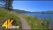 4K Nature Walk - 4.5 HRS Forest/River Fabulous Views with Calm Music and Birds Chirping