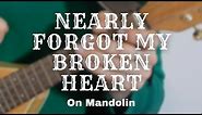 Mandolin Tutorial Chris Cornell - Nearly Forgot My Broken Heart