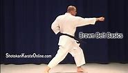 Shotokan Karate Syllabus Brown Belt Basics