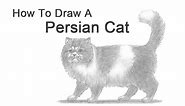 How to Draw a Cat (Persian)