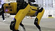 Boston Dynamics' Spot Is Helping Chernobyl Move Towards Safe Decommissioning