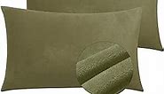 2 Pack Zippered Velvet Standard Pillowcases, Super Soft and Cozy Luxury Fuzzy Flannel Pillow Cases with Zipper, 20x26 Inches, Army Green
