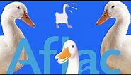 Untitled Aflac