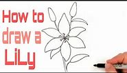 How To Draw Lily Flower Easy Step By Step - With Pencil