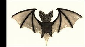 Top 50 Best Bat Tattoo