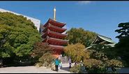 Tochoji Temple: Explore around Fukuoka, Japan