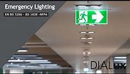 03- Emergency Lighting : BS & NFPA