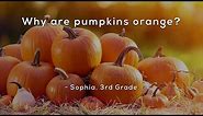 Why are pumpkins orange?