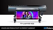 TrueVIS VG3 Large Format Inkjet Printer Cutter| Roland DGA