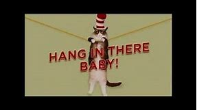Cat in the Hat: Hang in there Baby