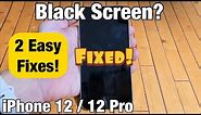 iPhone 12: Black Screen or Blank Screen? Screen Won't Turn On? 2 Fixes