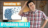 Memory & The Encoding Process [AP Psychology Unit 5 Topic 2] (5.2)