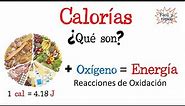 🍔¿Qué son las calorías?🔥 [Fácil y Rápido] | BIOLOGÍA | FÍSICA | QUÍMICA