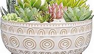 8 Inch Ceramic Succulent Planter Pot with Drainage Hole and Saucer Round Shallow Planter for Indoor Plants, White