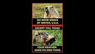Texas Weather Memes - Deep In The Heart Of Texas