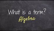 What is a term in Algebra?