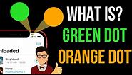 iPhone 14: What is Orange and Green Dot on iPhone: Any iPhone (iOS 16)